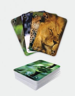National Geographic 52 Picture Playing Cards - Amazing Animals - Online  Price & Specifiction at Planet Educate