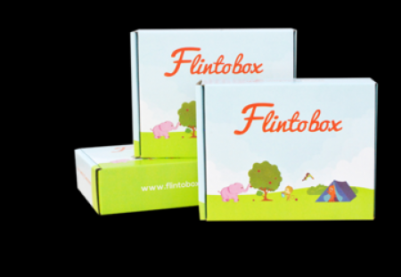 Flintobox 6 Month Subscription For Age 2-3 Years - Online Price &  Specifiction at Planet Educate